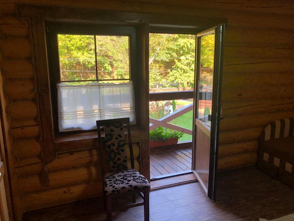 Guest house U Druziv