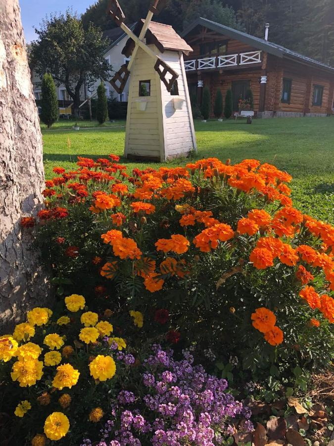 U Druziv Guest house *