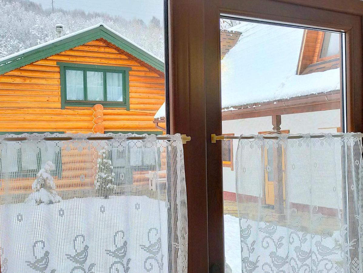 U Druziv Guest house *