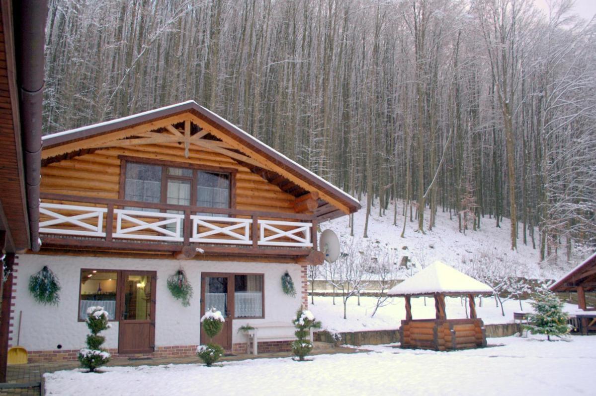 U Druziv Guest house