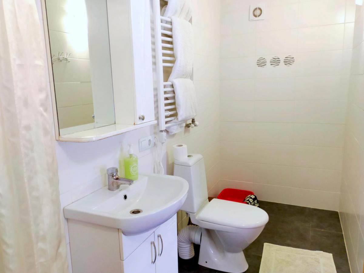 Guest house U Druziv Polyana (Transcarpathia)