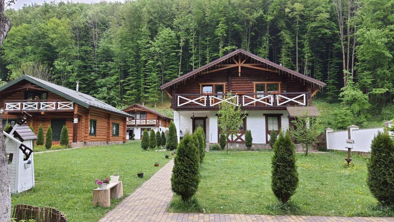 Guest house U Druziv *