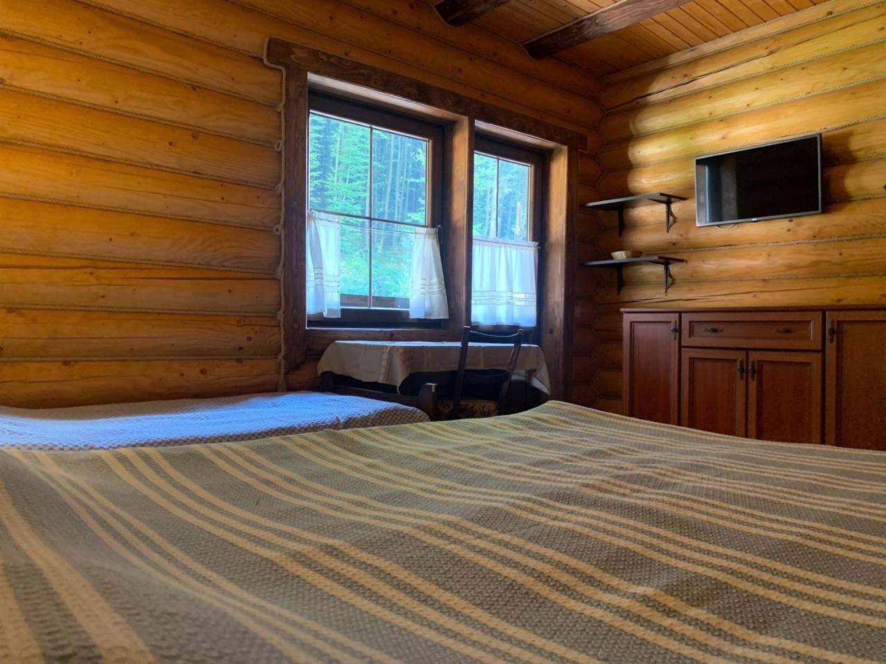 Guest house U Druziv Polyana (Transcarpathia)